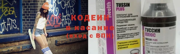 гидра Горнозаводск
