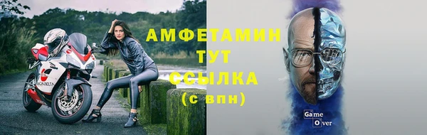 шишки Гусев