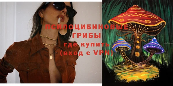 гидра Горнозаводск
