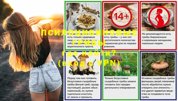 гидра Горнозаводск