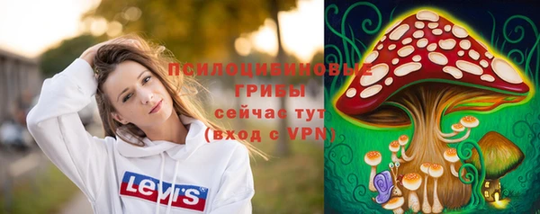гидра Горнозаводск