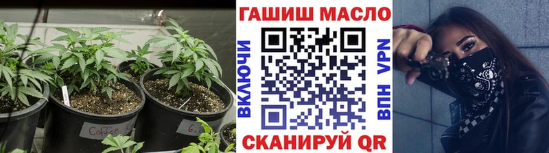 гидра зеркало  Дальнегорск  ТГК концентрат 