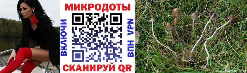 Псилоцибиновые грибы MAGIC MUSHROOMS  хочу   Дальнегорск 
